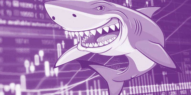 cá mập trong thị trường crypto