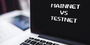 testnet và mainnet