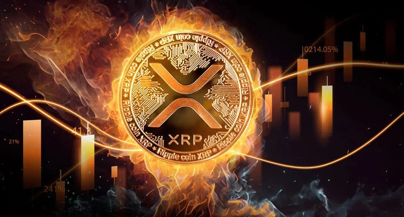 mua XRP