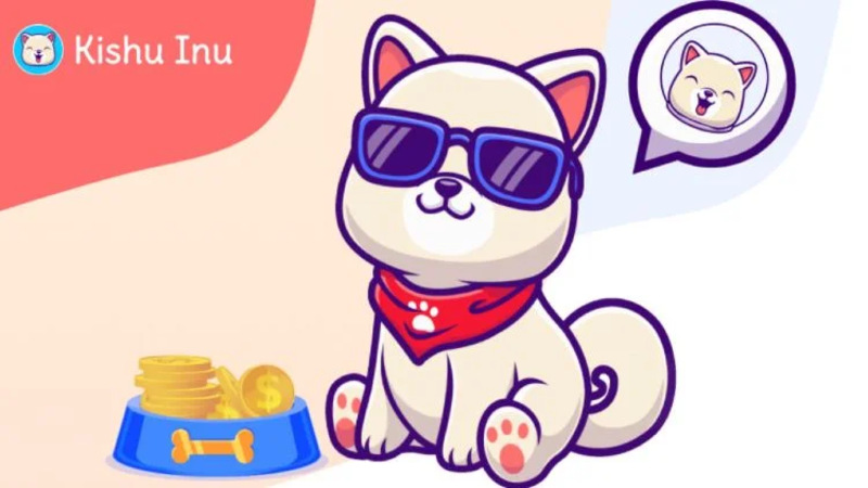 Điểm độc đáo của Kishu Inu Coin