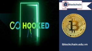 Hooked protocol