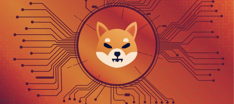 Shiba coin là gì