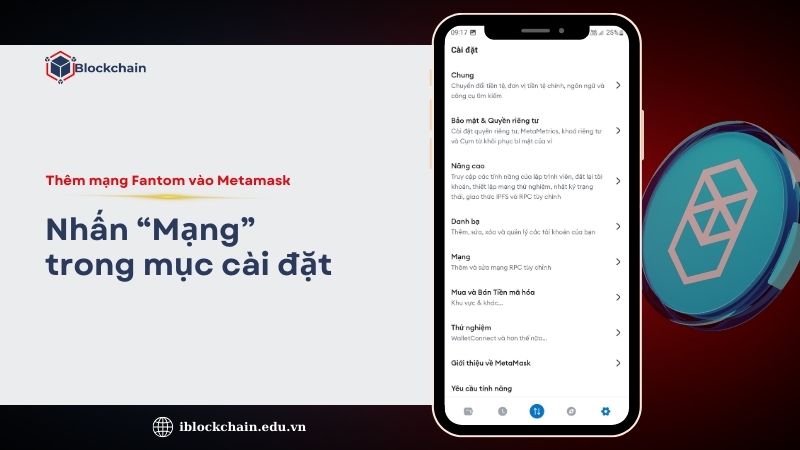 chon-cai-dat-mang-them-mang-fantom-vao-metamask
