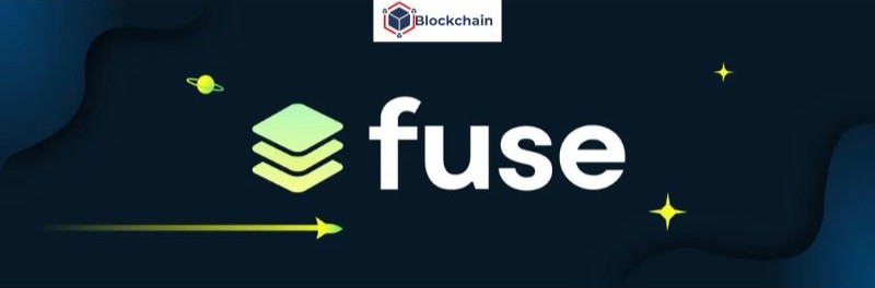 fuse-network-fuse-la-gi