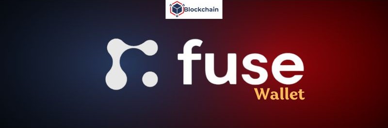 fuse-wallet-fuse-la-gi