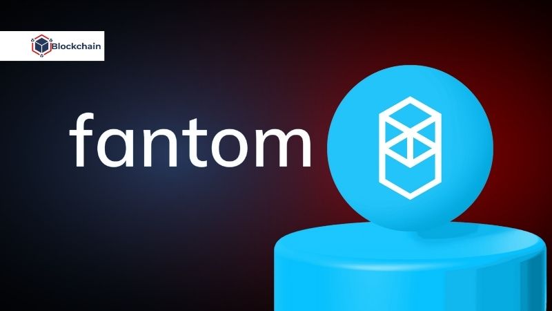 nen-tang-fantom-them-mang-fantom-vao-metamask