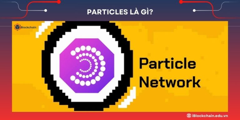 Particles là gì?