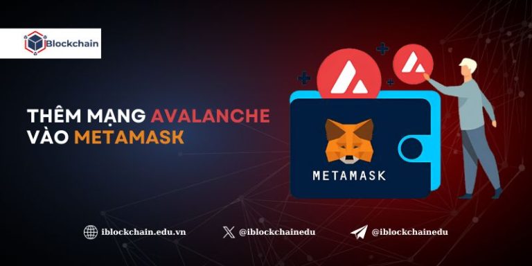 them-mang-avalanche-vao-metamask