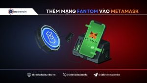 them-mang-fantom-vao-metamask