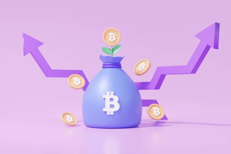 Tiềm năng phát triển của Purple Bitcoin