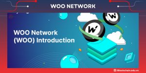 Woo Network