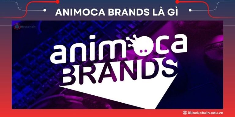 Animoca brands là gì