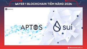 Layer 1 Blockchain tiềm năng 2024