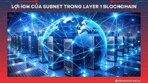 Lợi ích của subnet trong Layer 1 blockchain