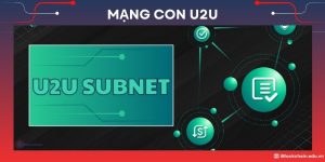 Mạng con U2U