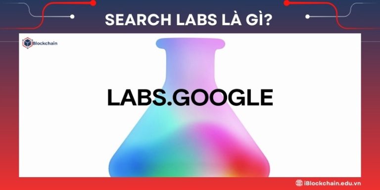 Search Labs là gì?