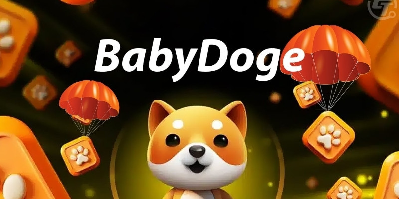 Tại sao nên tham gia BabyDoge Paws Airdrop?