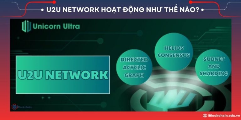 U2U Network hoạt động như thế nào?