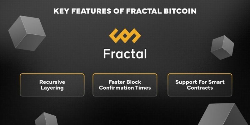 Fractal là gì